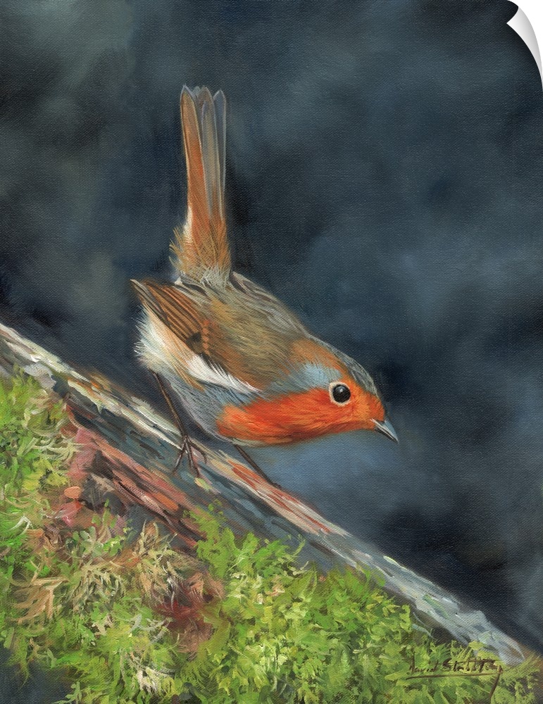 Contemporary painting of a robin perched on branch.