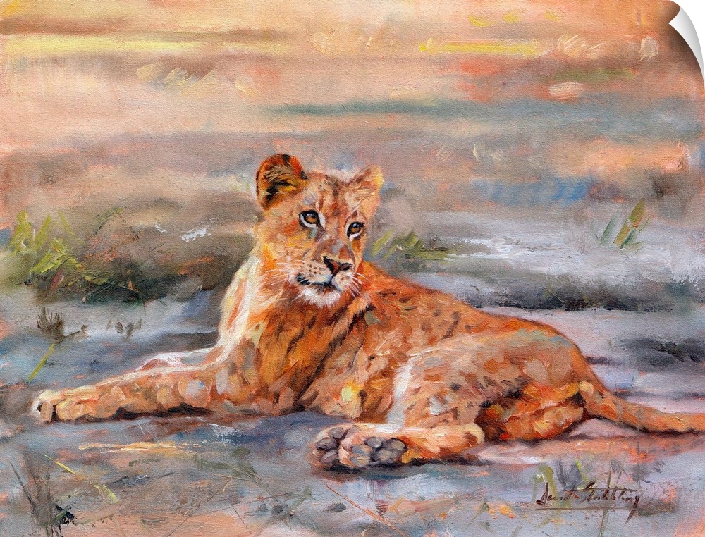 Contemporary painting of a lioness laying on the ground.