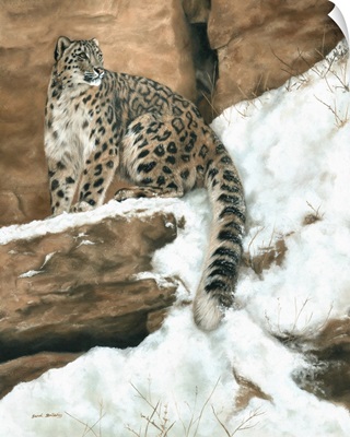 Snow Leopard In The Snow