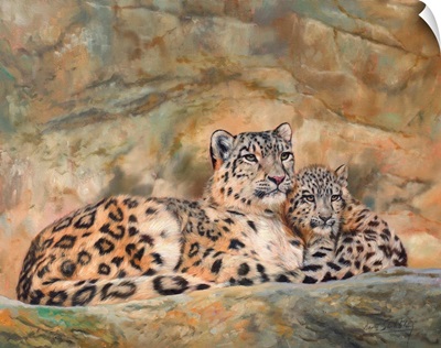 Snow Leopard Mother And Cub