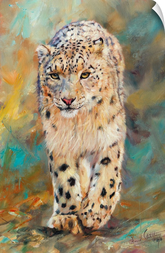 Snow Leopard. Oil on canvas.