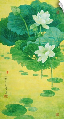 Spring Lotus