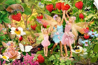 Summer Fairies