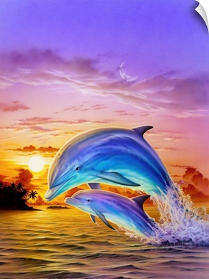 Sunset Dolphins