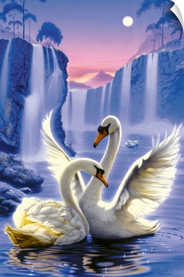 Swan Dreams