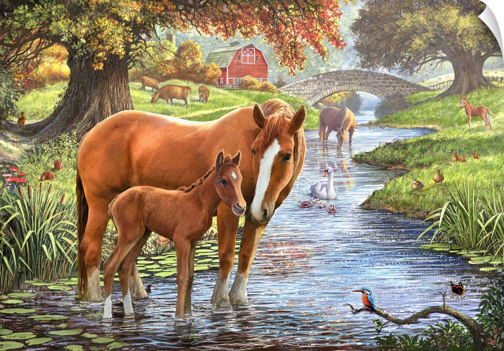 Mare and foal in a stream in the autumn