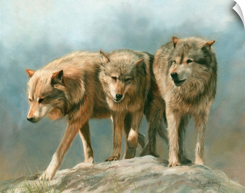 Three Grey Wolves. Oil on canvas.