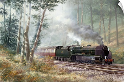 Through The Pines To Bournemouth