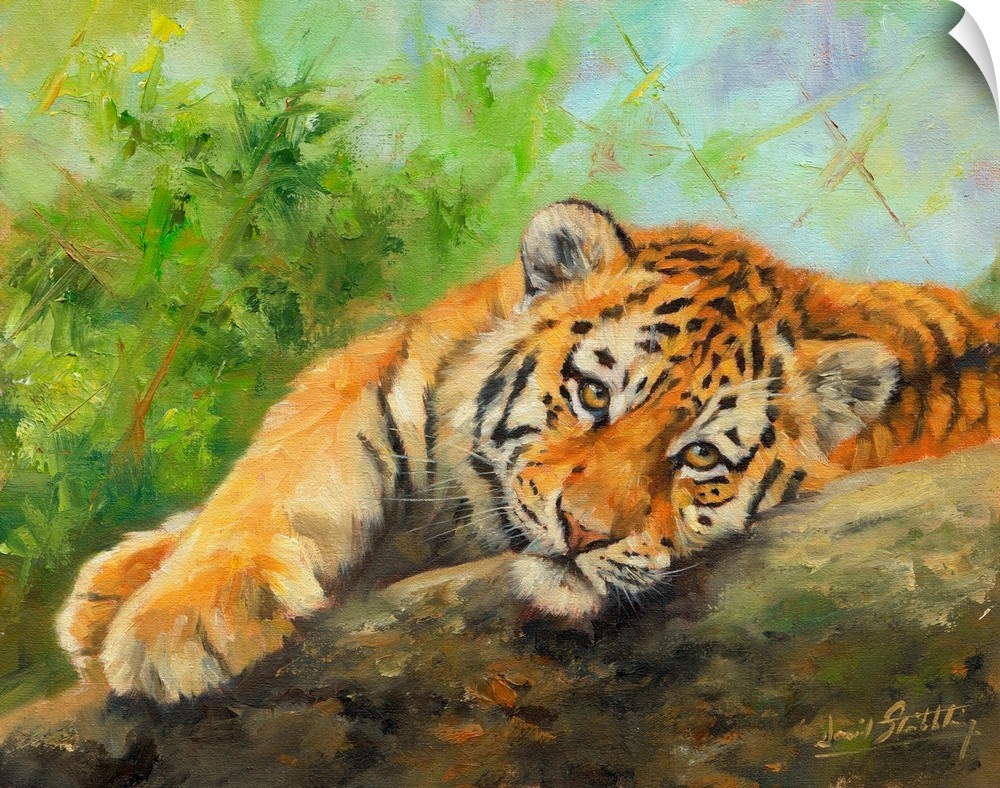 Contemporary painting of a tiger cub lazily laying on a rock.