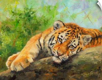 Tiger Cub On Rocks