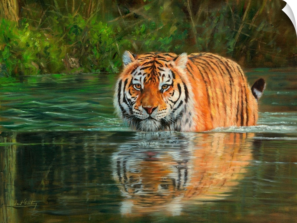 Contemporary painting of a Siberian tiger wading through water.