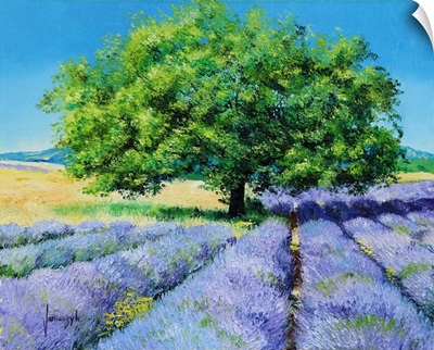 Tree And Lavenders