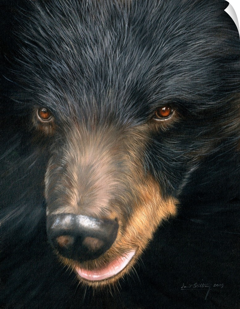 Contemporary painting of a black bear face close-up.