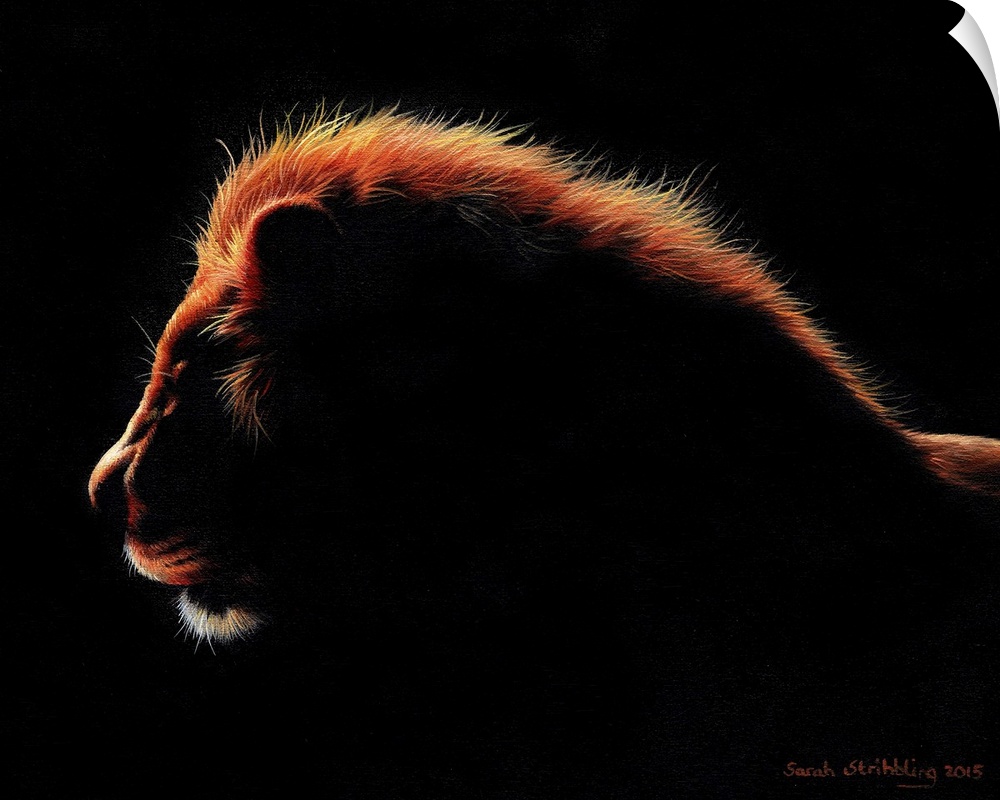 African Lion at twilight painted in oil paints on canvas.