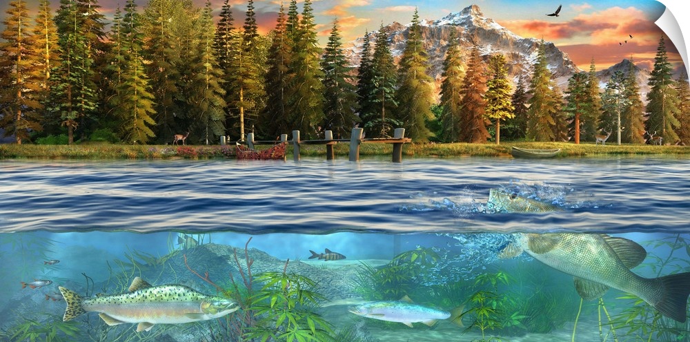 Illustration of an above and below view of the mountain lake.