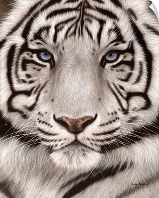 White Tiger Face Portrait