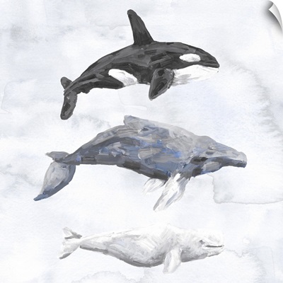 3 Whales 1