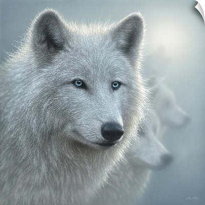 Arctic Wolves - Whiteout