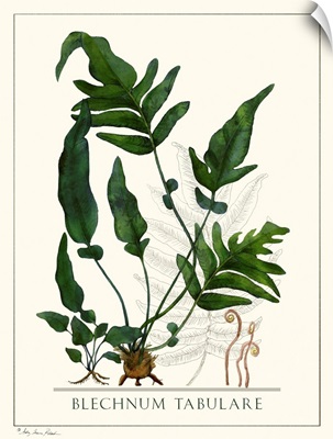 Botanical 1