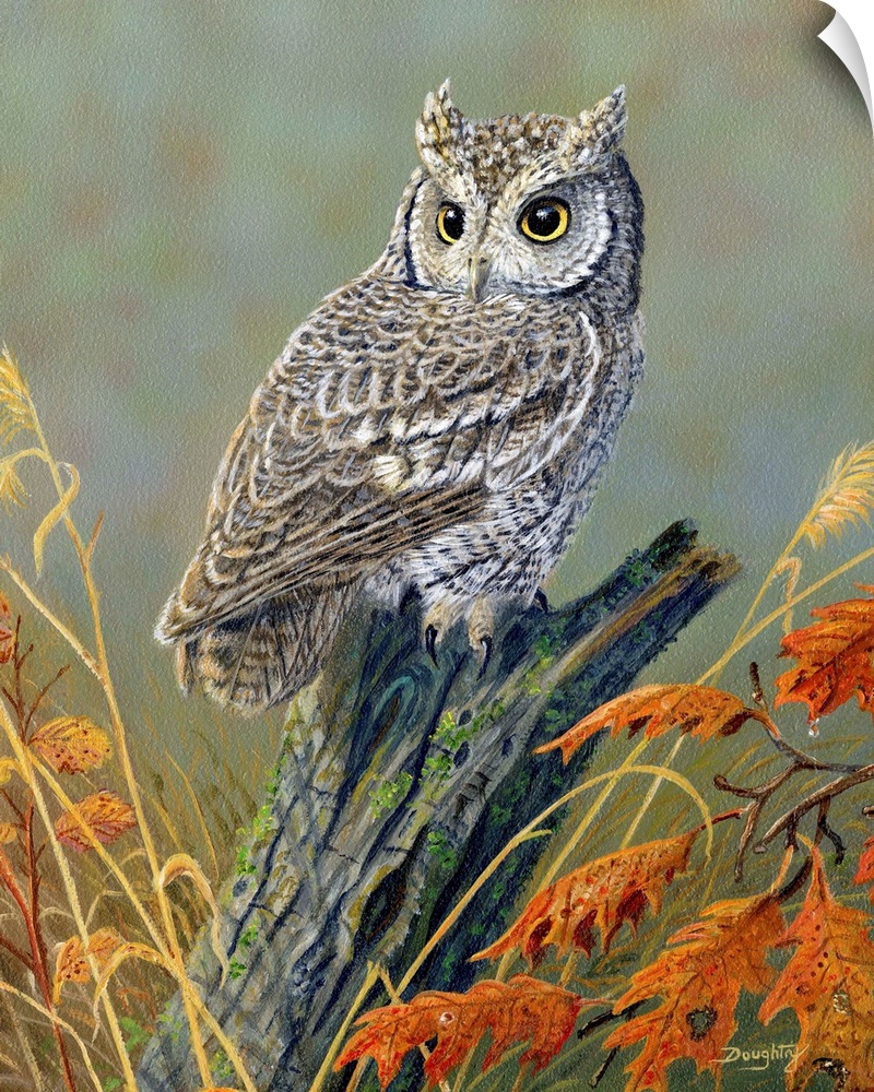 Contemporary artwork of a small screech owl perched on a branch, with fall leaves.