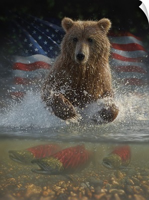 Brown Bear Fishing America