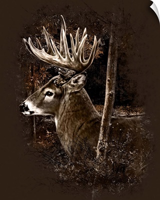 Buck profile