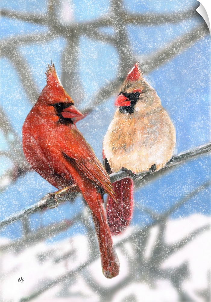 Illustration of a cardinal couple sitting on a branch in the winter.