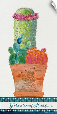 Colorful Cactus 3