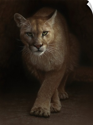 Cougar - Emergence