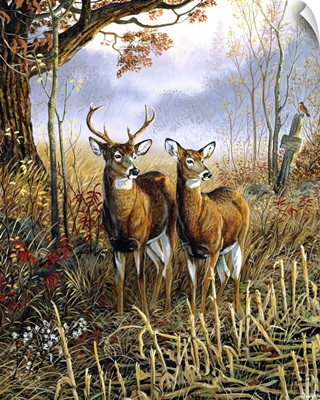 Paint by Numbers Deer Woodland Scene Art Print by TheWildPlum