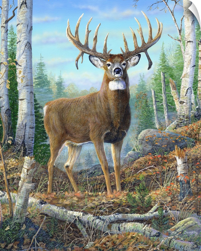 A deer with a large set of antlers standing proudly in a forest.