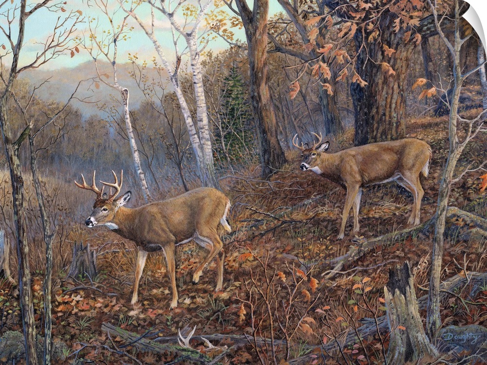 Two deer walking through a forest in the fall.
