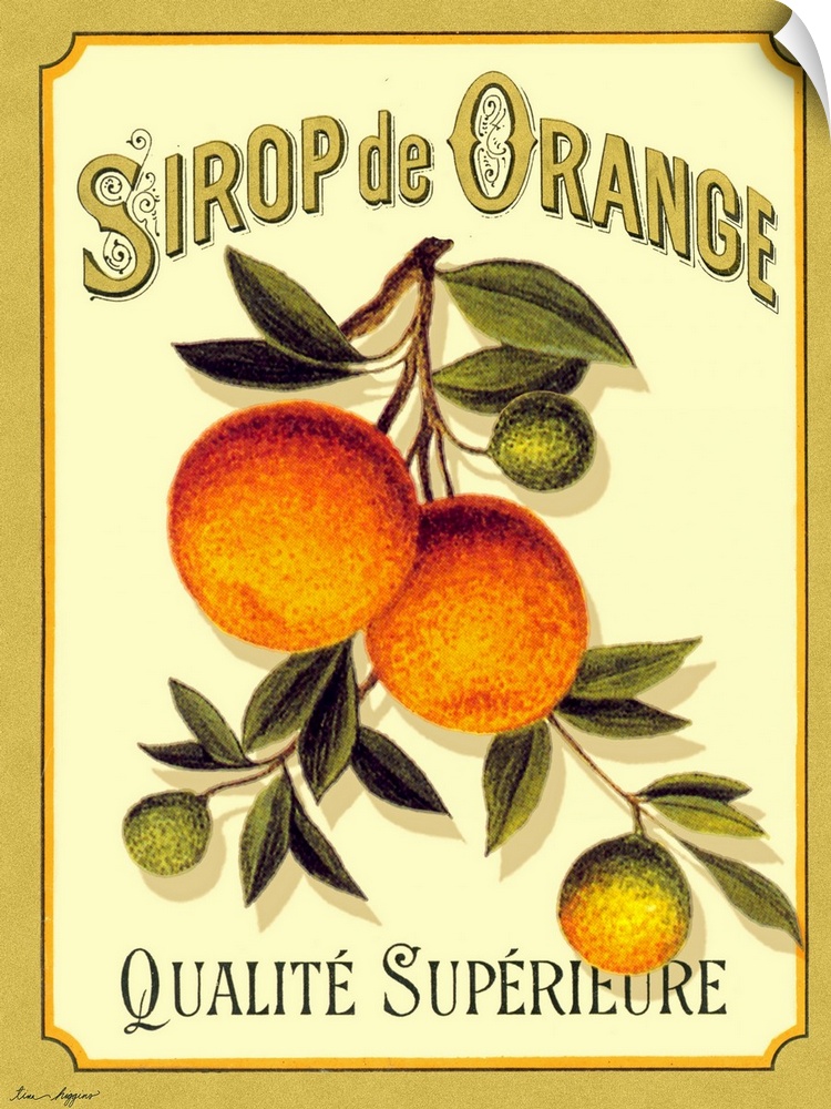 Docor perfect for the kitchen of drawn oranges still on the tree branch with French text written above and below.