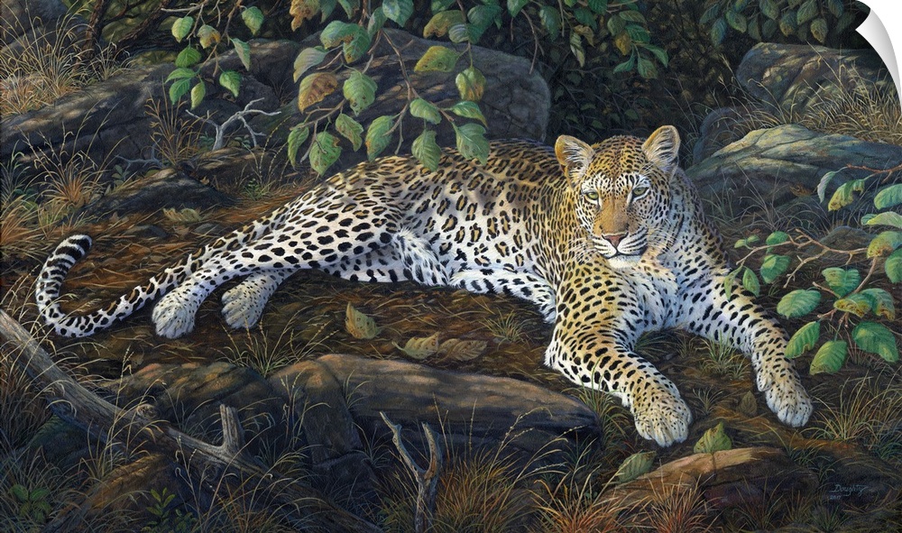 Contemporary artwork of a jaguar lounging on the jungle floor.