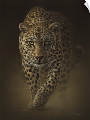 Leopard - Savage