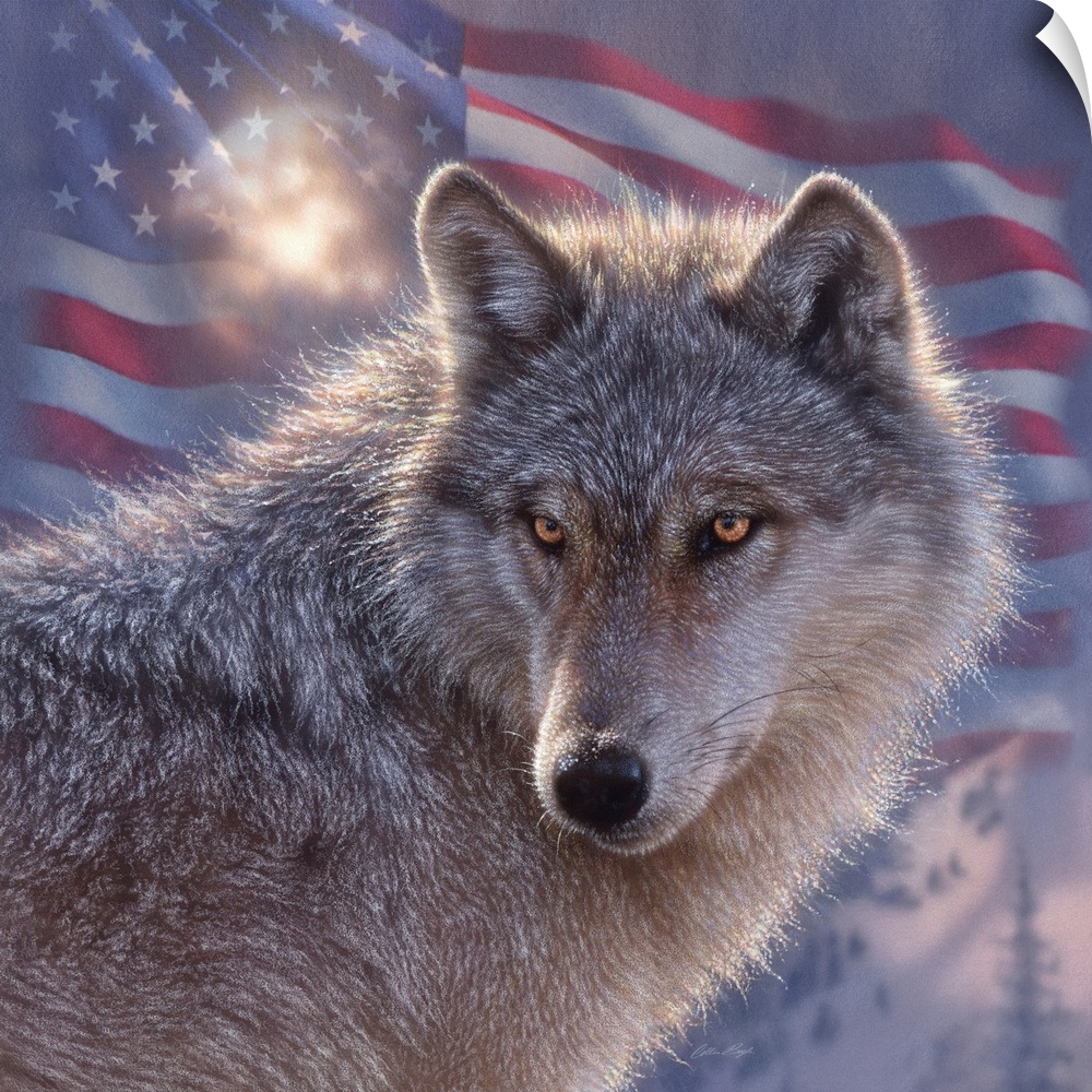Lone Wolf America
