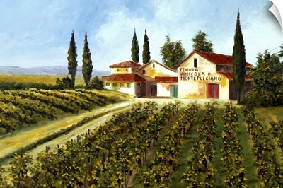 Montepulciano Winery