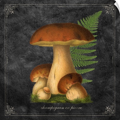 Mushroom Style I