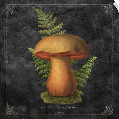 Mushroom Style III