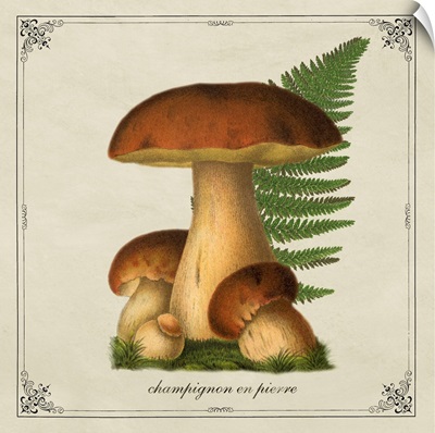 Mushroom Style VII