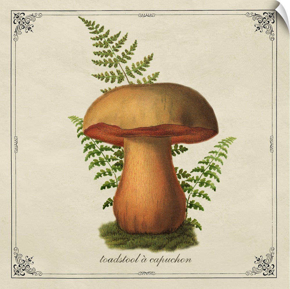 Mushroom Style VIII
