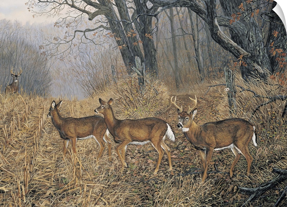 Contemporary artwork of a group of deer in a dry field and the forest with bare trees drawn to the right.