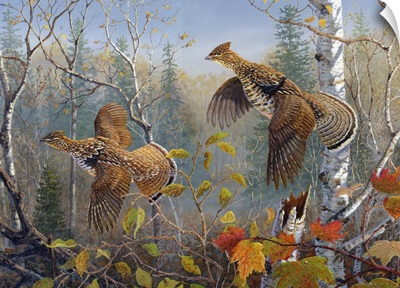 October Wings Grouse