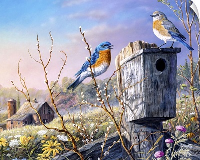 Old Homestead Bluebirds