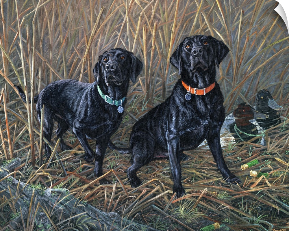 Sharing the Tradition Black Labs