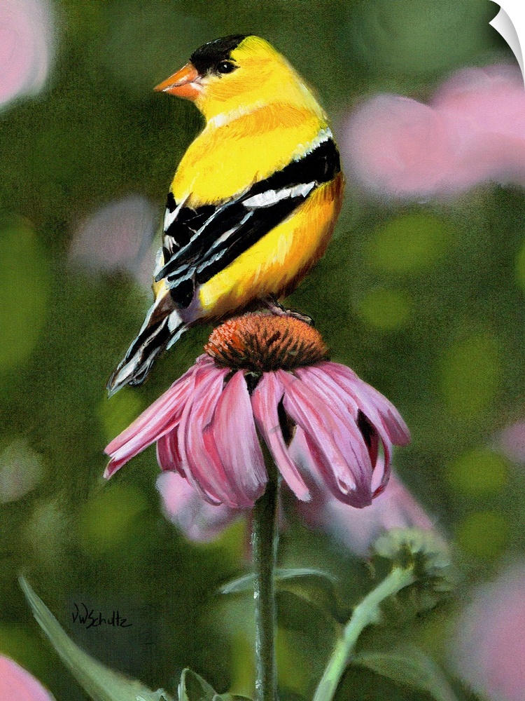 Painting of a male goldfinch sitting on a pink flower.