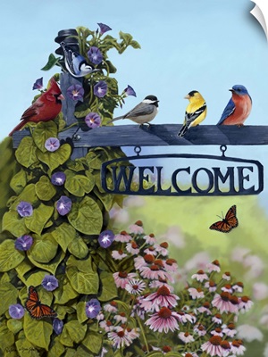 Welcome Birds