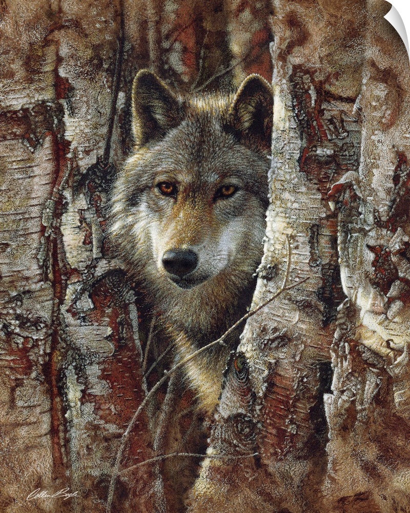 Wolf - Woodland Spirit