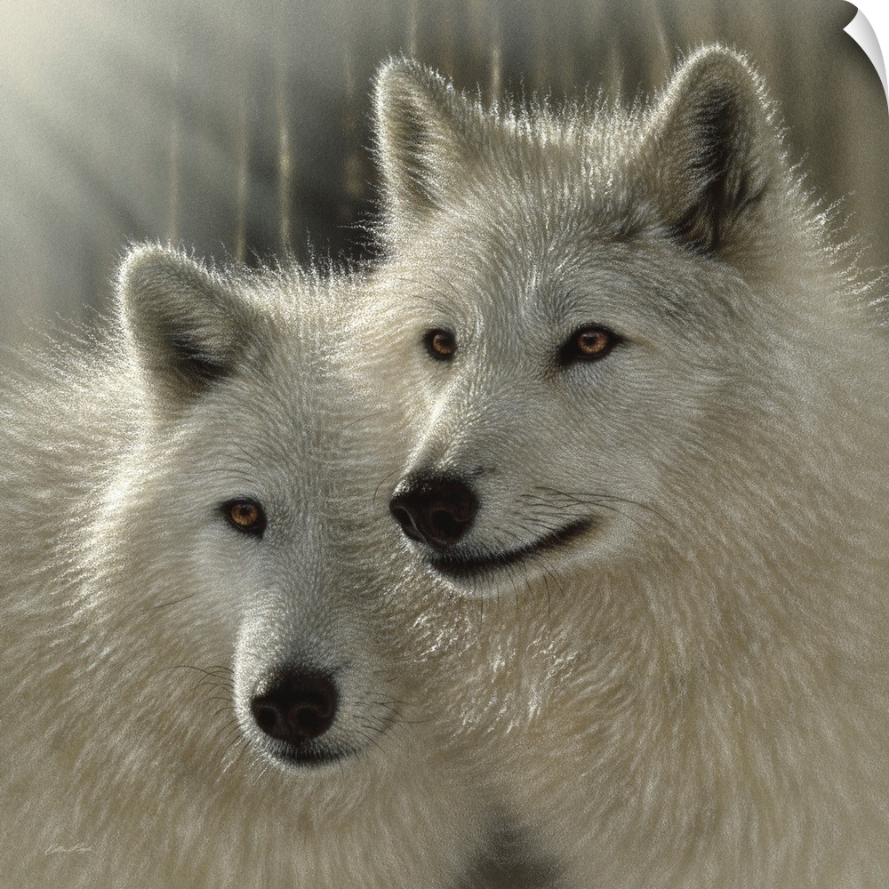 Wolves - Sunlit Soulmates