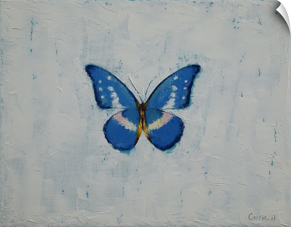 A contemporary painting of a blue and white butterfly against a white background.